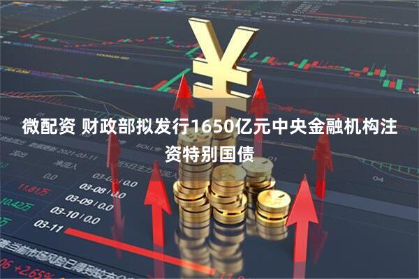 微配资 财政部拟发行1650亿元中央金融机构注资特别国债